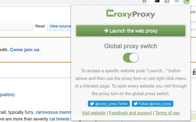 croxy proxy web app